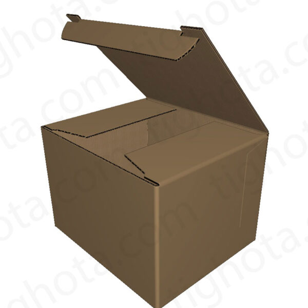 کارتن حمل ، قفل لاک باتم EVC11001