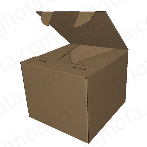 کارتن حمل ، کف بسته بندی یک تکه ، مناسب محصولات سنگین ، در پلمپ شونده EVC11904